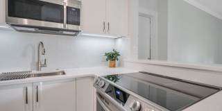 Villas of Lake Eola Condo Gallery 6