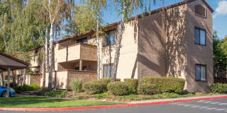 Mission Sierra Apartment Homes Gallery 9