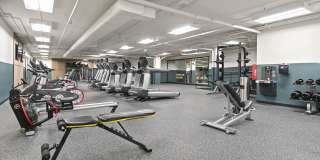 Novi at Queen Anne Gallery 31