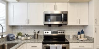 The Nelson Gallery 3