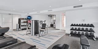 Stuart Hill Gallery 19