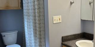 249 County Street Gallery 2