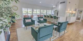 Allandale Falls Gallery 13