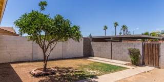 3428 West Mauna Loa Lane Gallery 16