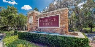 Gated Fishhawk Community! Gallery 36