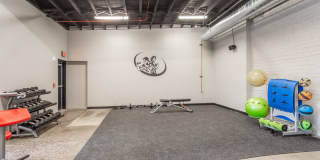 800 Isabel Bloom Way #3305 Gallery 13