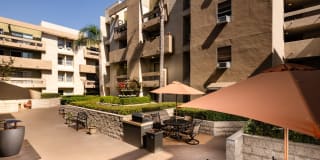 Renaissance Terrace Gallery 10