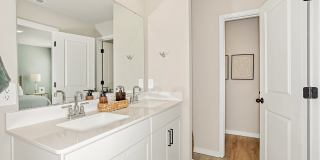 Coral Palms at Oakleaf Gallery 16