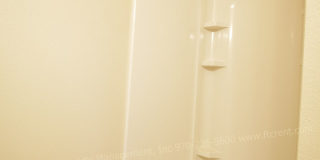 Fantastic 4-Bedroom in Ft. Collins Gallery 11