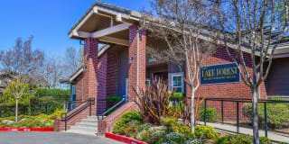 Lake Forest Gallery 20