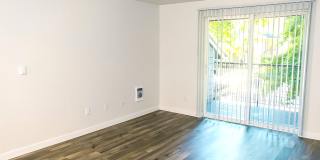 Courtside Gallery 17