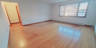 16 Harold Avenue Gallery 3