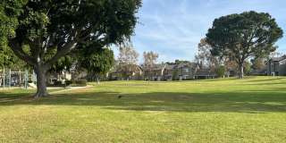 Move-in Special: 8 Albany, Irvine: Charming 2 Bed 1.5 Bath Townhome in El Camino Real! Gallery 15