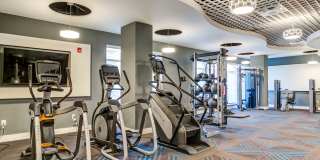 Allure Apollo Gallery 19