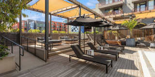 Arrive Hollywood Arrive Hollywood Gallery 44