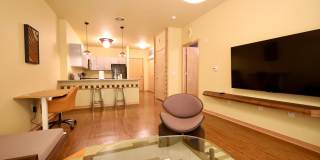 Settlement Place Gallery 49