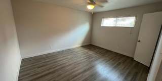 Penthouse Gallery 21