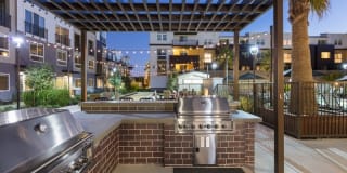 Bell Mt. Tam Gallery 18