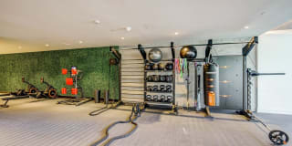 Alluvion Las Olas Alluvion Las Olas Gallery 28