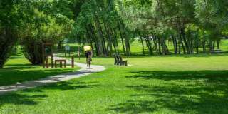 Charming 2 Bedroom Condo in Boulder's Powderhorn Community Gallery 15