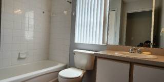 Gorgeous 3-Bedroom, 2-Bathroom in Brandon Gallery 15