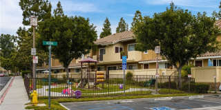 28511 Trento Way Gallery 32