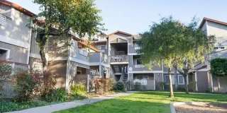 Alderwood Park Gallery 4