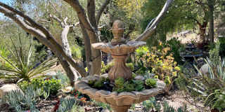 1122 Palomino Road Gallery 43