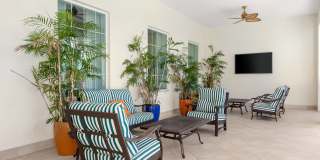 Oceanside Lantana Gallery 26