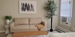 The Paramount Apartments Gallery 4
