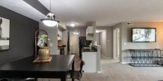 The Trails of Saddlebrook Gallery 30