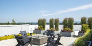 Amelia Seatac Gallery 1