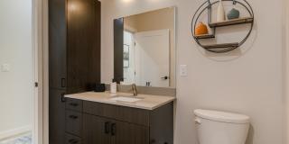 Olympus Latitude Gallery 20