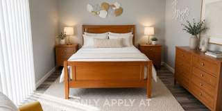 3 Bedrooms in a large private fenced lot. This is an East Orlando Gem! Furnished or Unfurnished option 3 Bedrooms in a large private fenced lot. This is an East Orlando Gem! Furnished or Unfurnished option Gallery 9