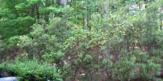 42 Intuition Circle Gallery 18