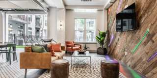 Lector 85 Gallery 17