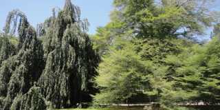 434 BELLEVUE Avenue Gallery 38