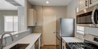 220 Shy Dandelion Street Gallery 1