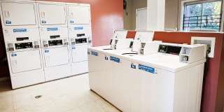 Twin Gables Gallery 45