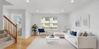 8 Alfred Ave Gallery 1