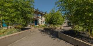 Uptown Lake Oswego Gallery 74