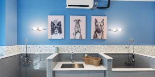 Arvella Gallery 128
