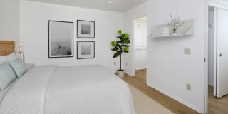 Windridge Gallery 21