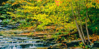 Autumn Chase Gallery 2