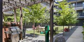 Thrive Argenta Gallery 38