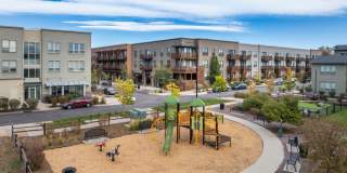 Gunbarrel Center Gallery 16