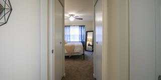 College Woods Gallery 22