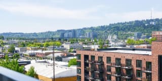 Windsor Buckman Gallery 2