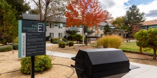 The Element The Element Gallery 14