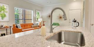 Austin City Lights Gallery 5